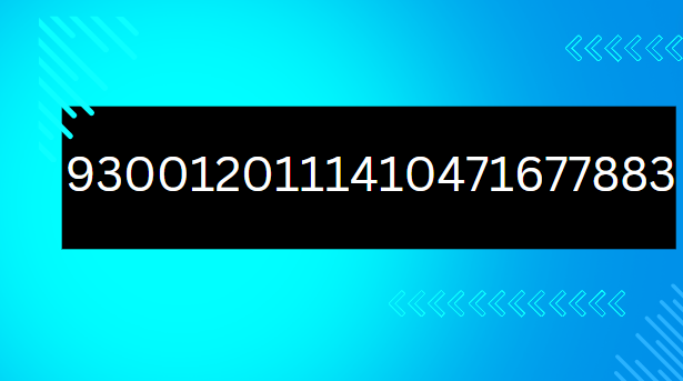 9300120111410471677883