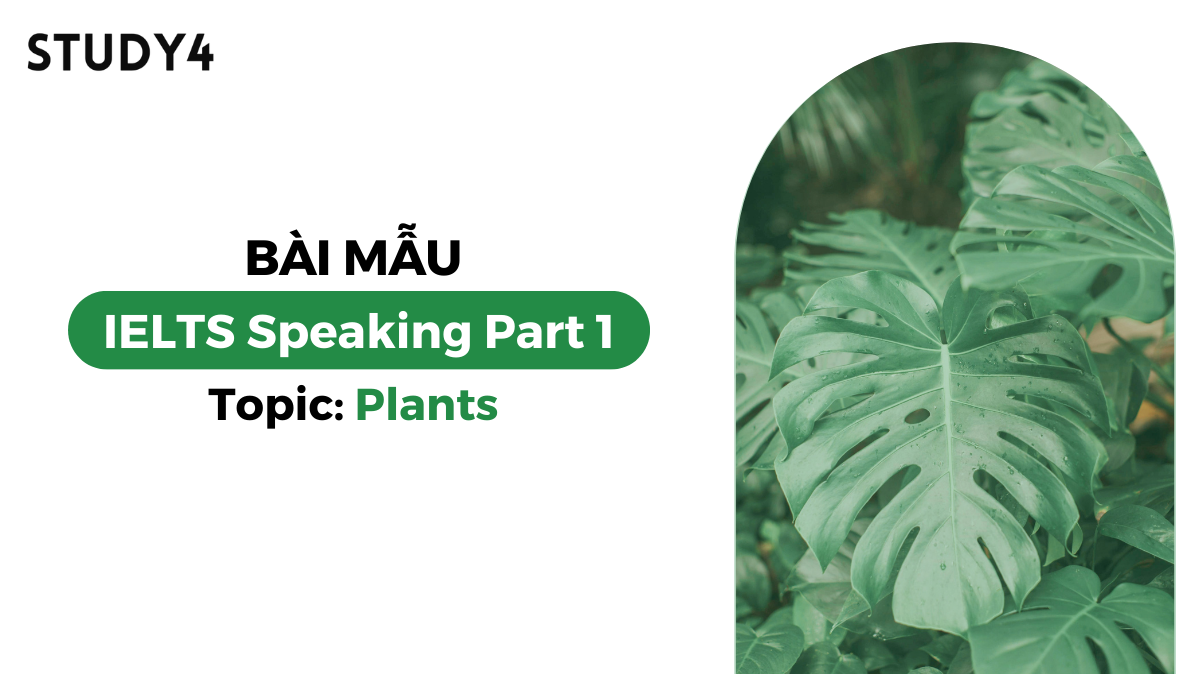 Bài mẫu IELTS Speaking Part 1 - Topic: Plants