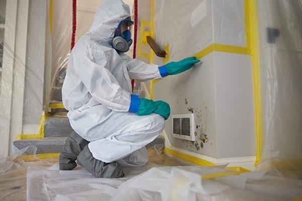 Mold Remediation | Water Damage Restoration in Brunswick, GA