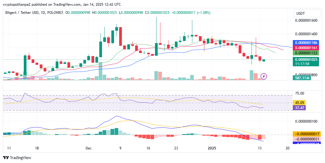 BRISE/美元圖表。圖片來源：TradingView