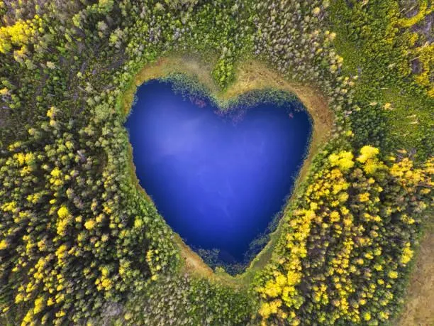18 Nature Photos That Inspire Solitude, solitude in nature, quiet moments, nature, forest, landscape, peaceful alone time, nature escape