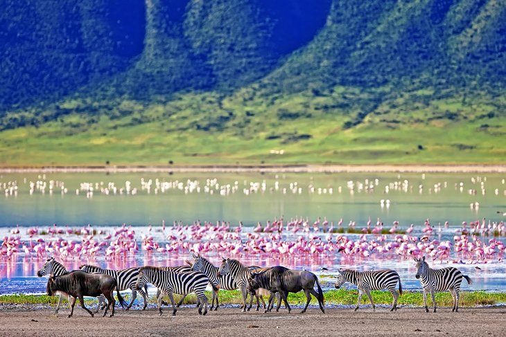 Ngorongoro Crater - Best Places to Visit in Tanzania