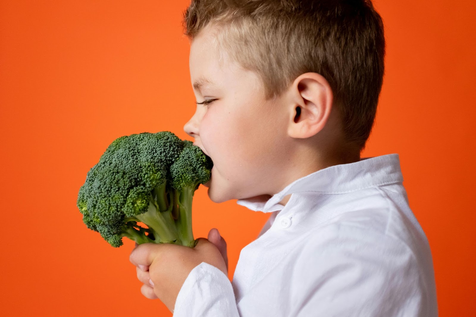 Boy in White Dress Shirt Holding Green Vegetable