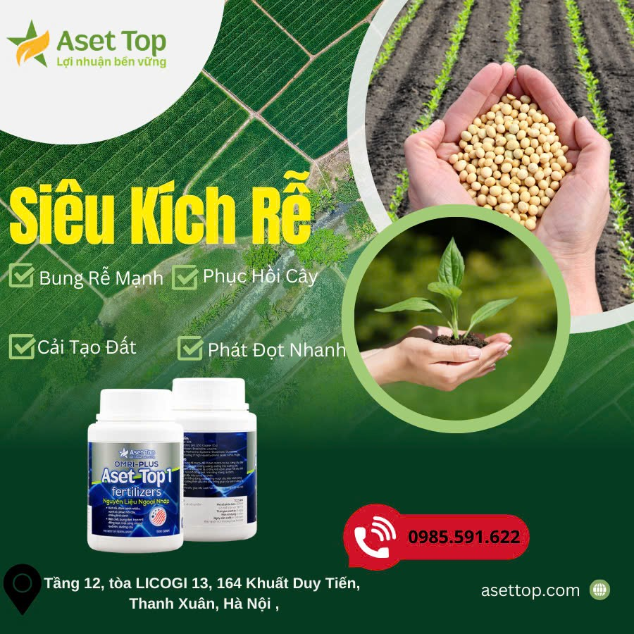 A poster with a picture of a plant and a couple bottlesDescription automatically generated with medium confidence