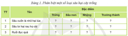 ÔN TẬP: CHỦ ĐỀ 5: PHÒNG, TRỪ SÂU, BỆNH HẠI CÂY TRỒNG