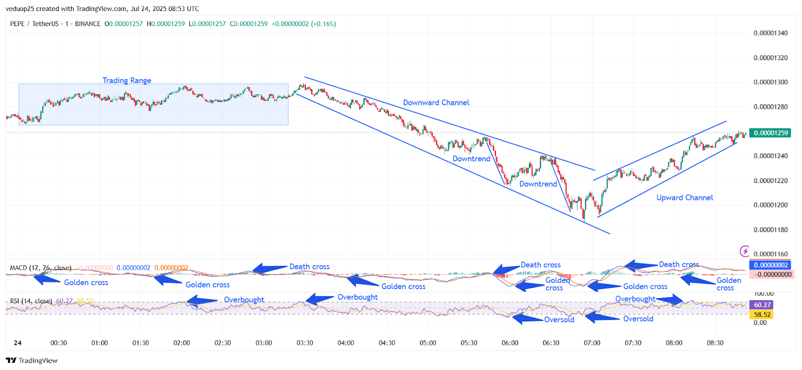 Chart 1- PEPE/USDT M1 Chart, Analysed By Anushri Varshney, Published on TradingView, July 24, 2025
