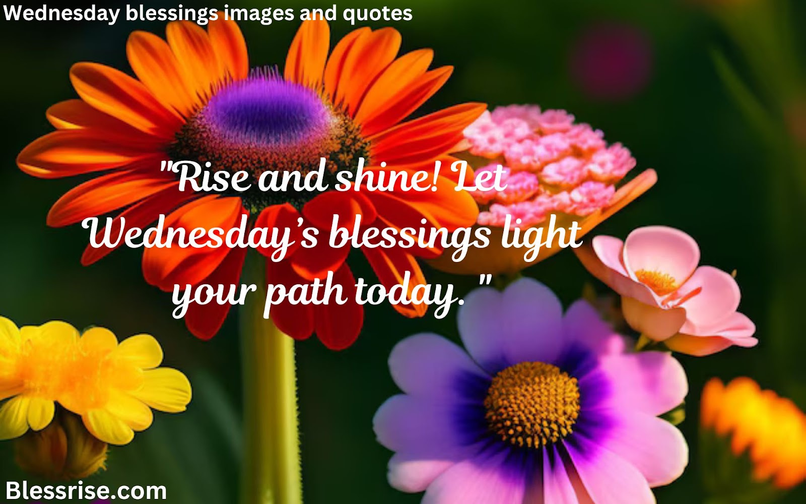 Happy Wednesday blessings