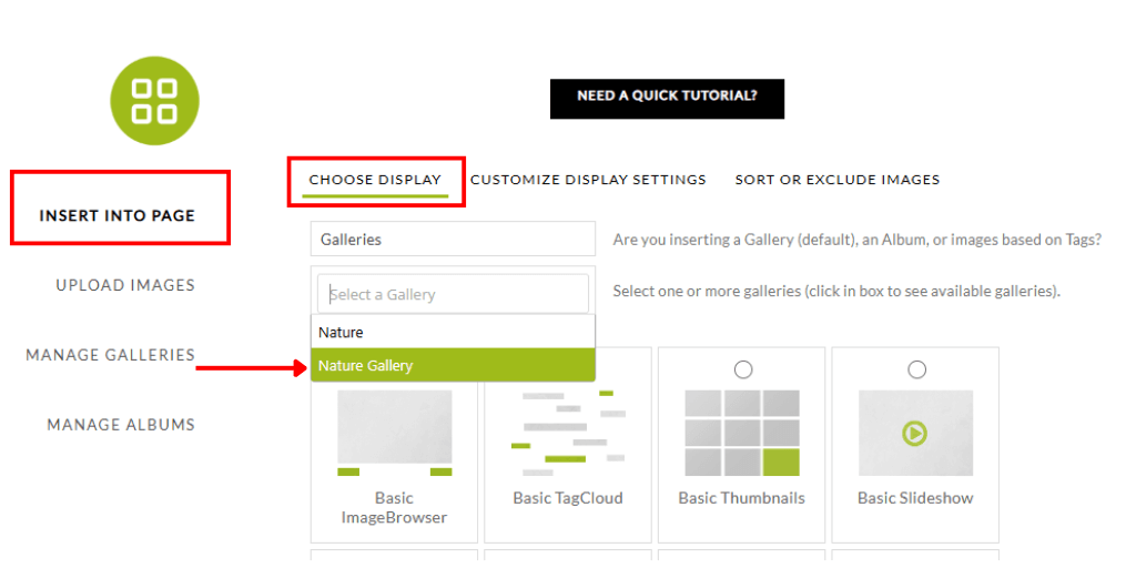Choose and Insert the Gallery
