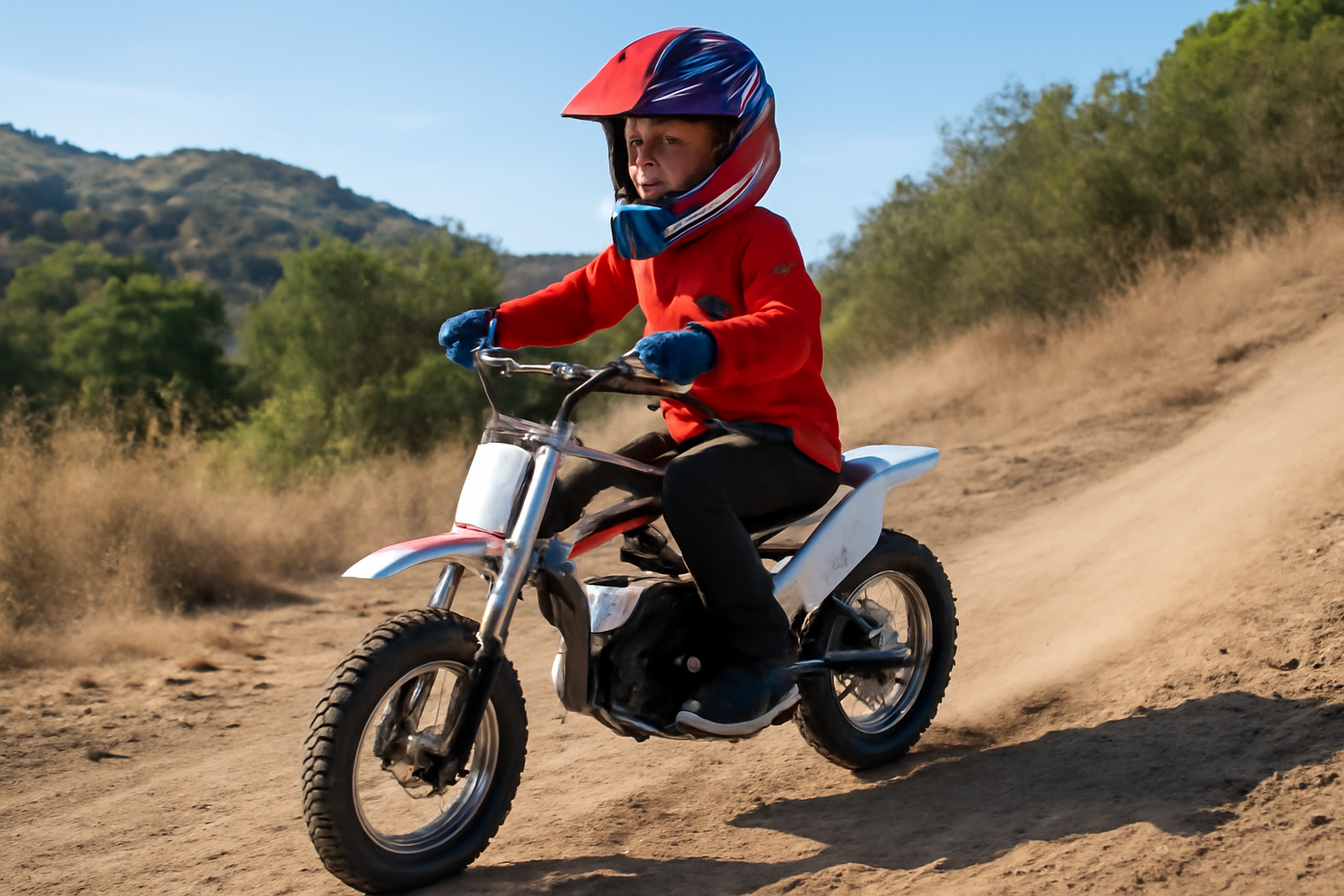 Razor Electric Dirt Bike