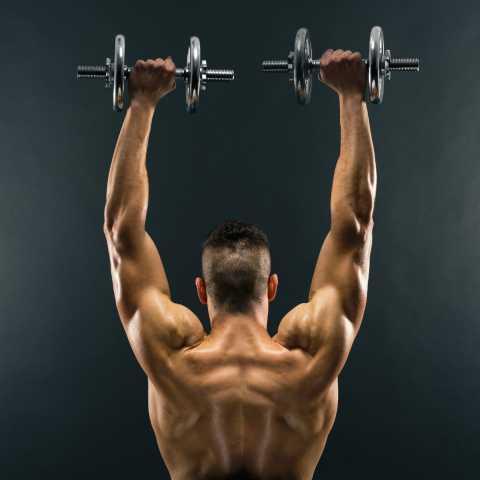 best shoulder muscle mass exercises