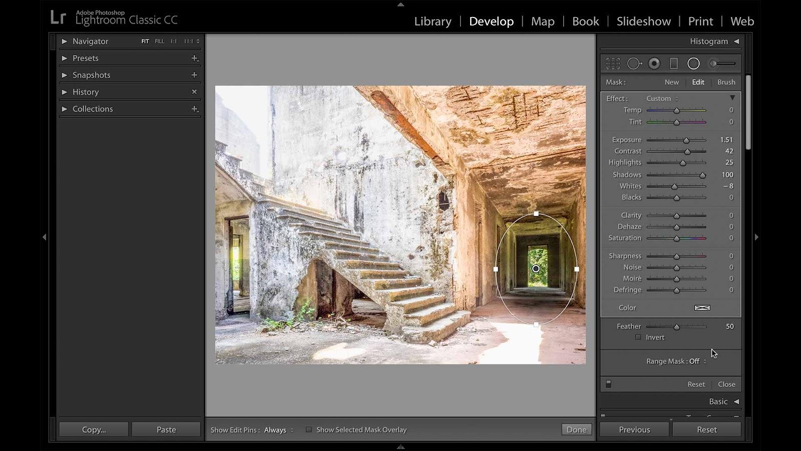 Lightroom window with an image and a mask loaded. A radial filter is in use.