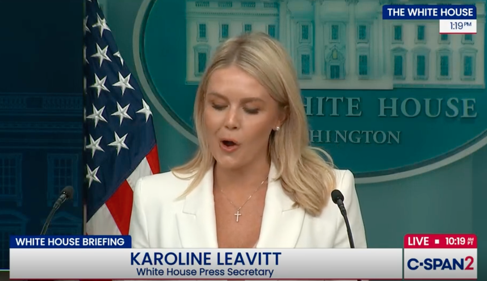 WATCH: Karoline Leavitt Admits Trump is Behind the GOP's Medicaid Cuts -  Democrats