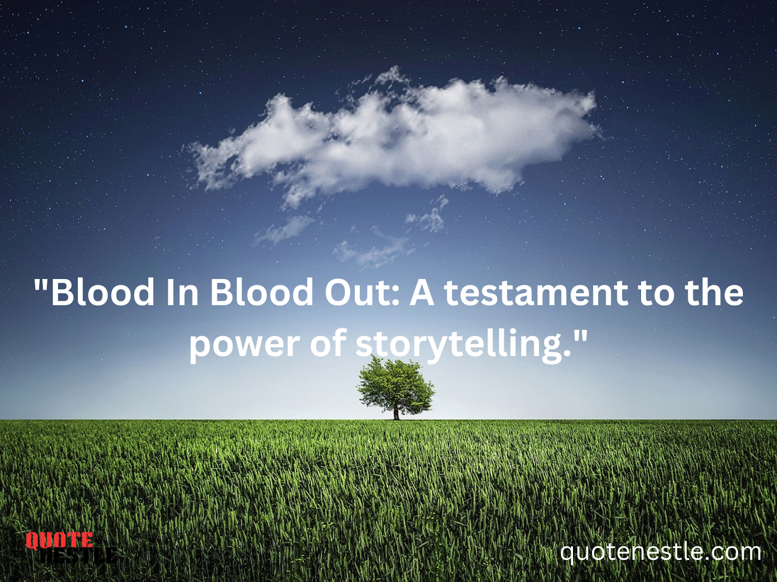 Power of Blood In Blood Out quotes