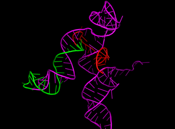 A dna structure with red and green lines

Description automatically generated with medium confidence