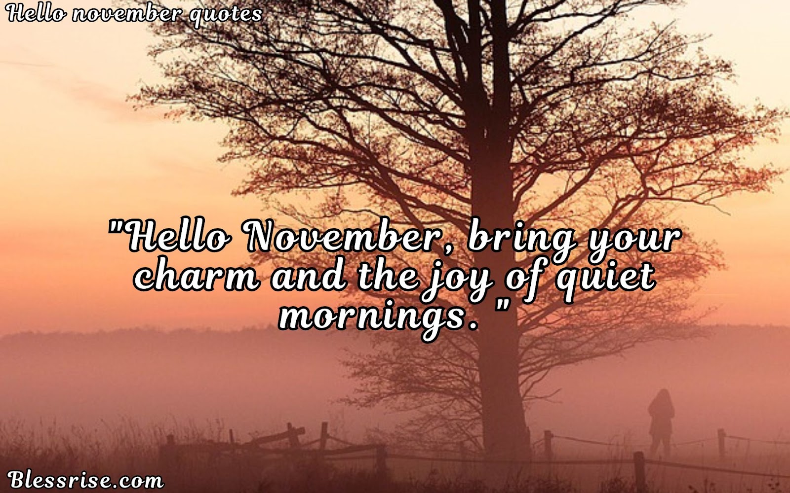 November quotes
