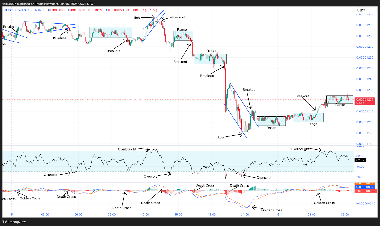 Chart 5: SHIB/USDT M5 Chart, Analysed by vallijat007, published on TradingView, June 6, 2025
Shiba Inu price
