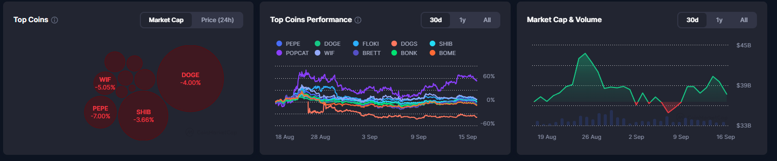 Meme Coin Market Overview