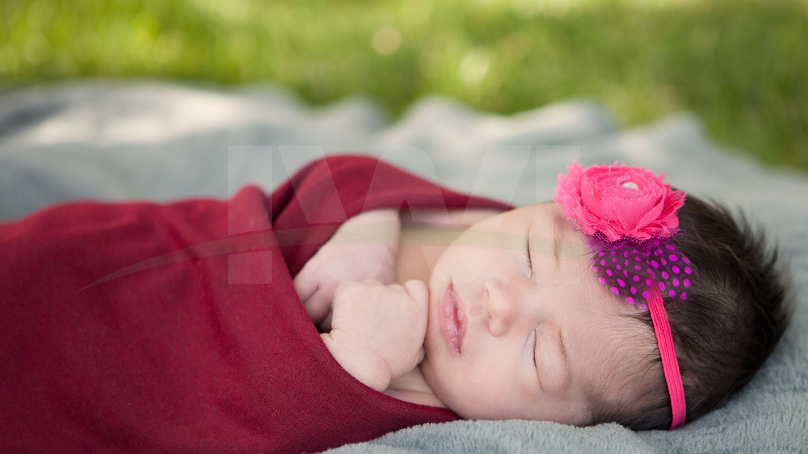 outdoor newborn photography images 5