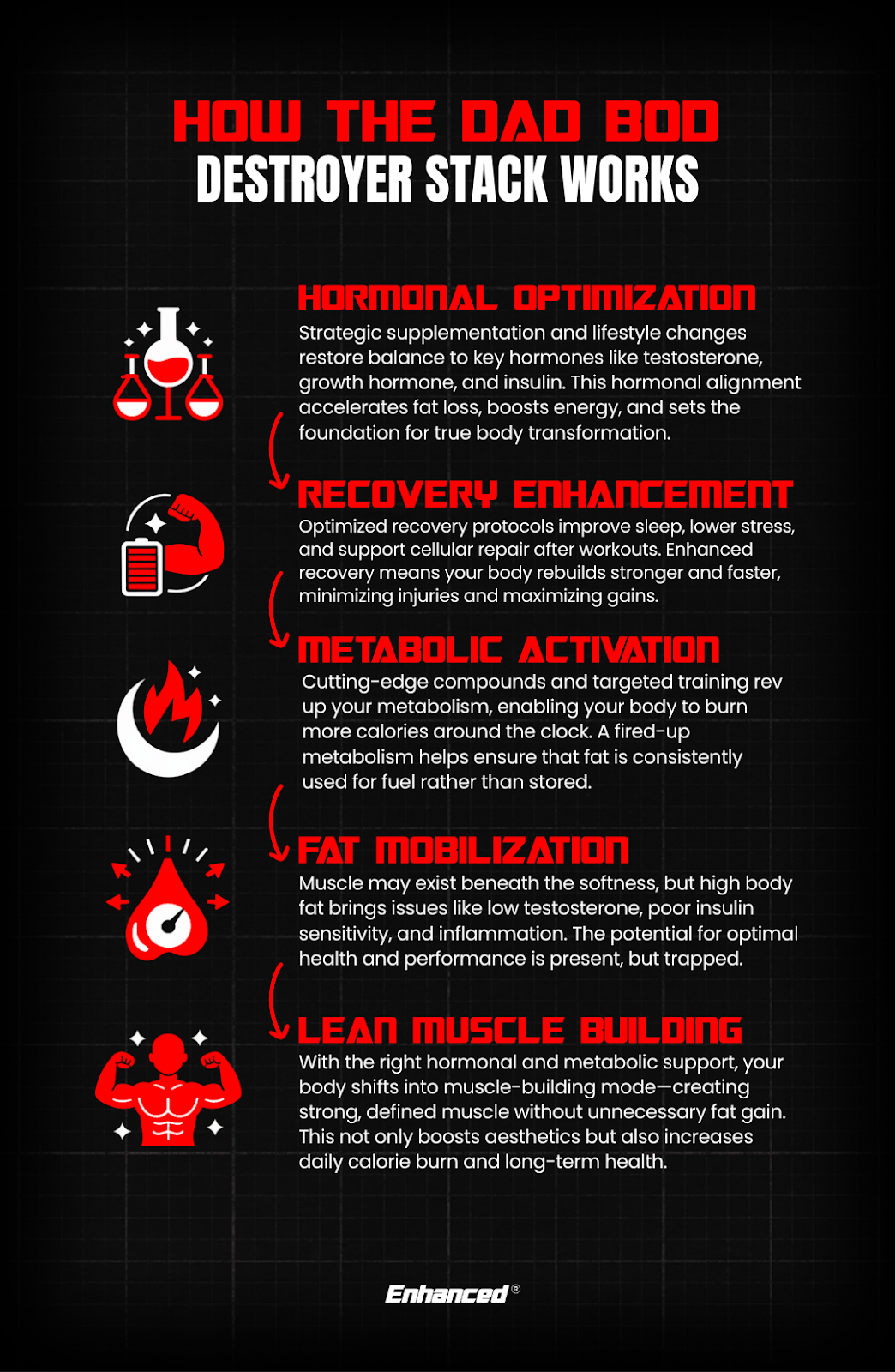 how-the-dad-bod-destroyer-stack-works-infographic-hormonal-optimization-recovery-enhancement-metabolic-activation-fat-mobilization-lean-muscle-building-enhanced-labs-tony-huge