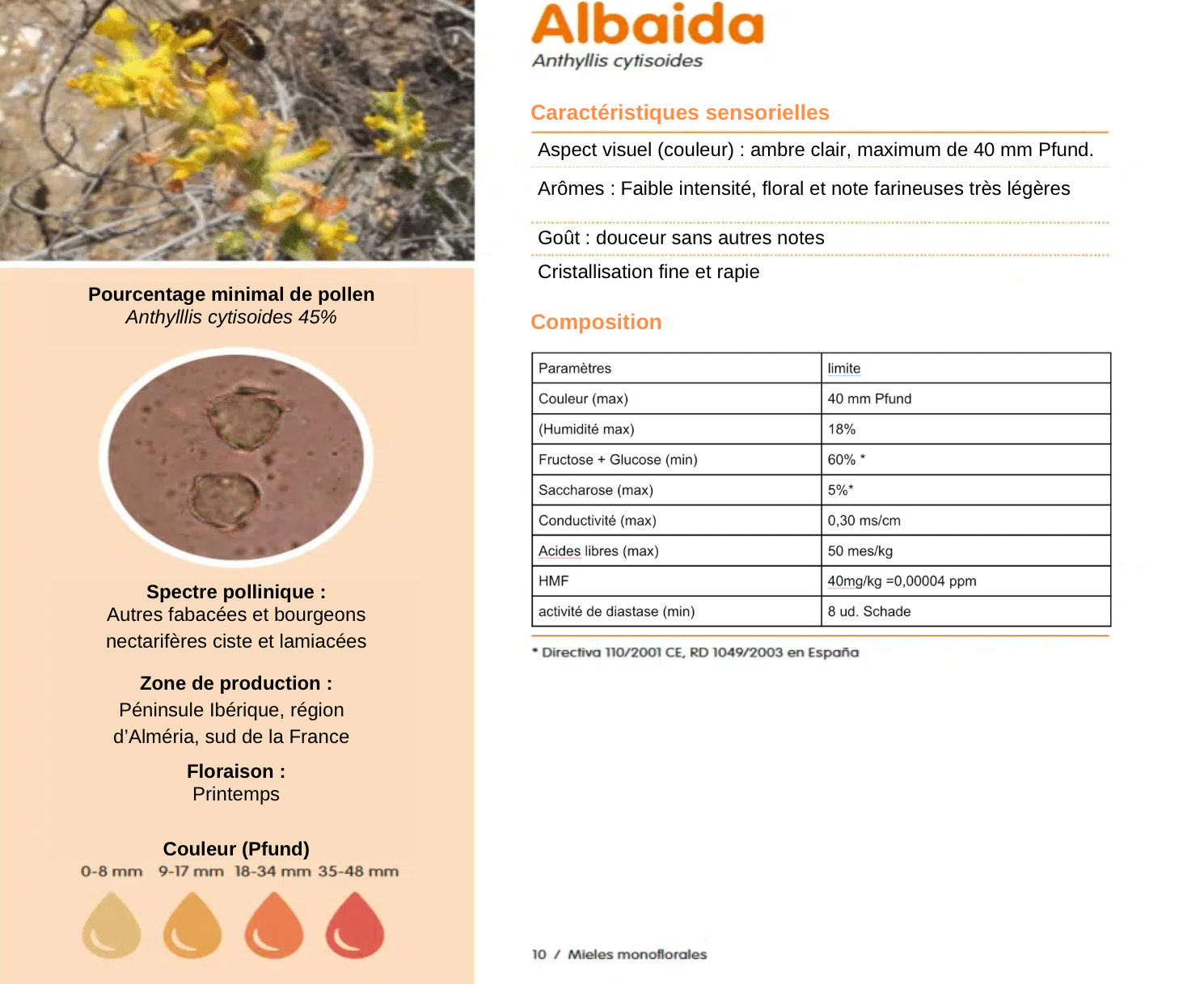 Miel d’Albaida ou genet des falaises : goût, arôme, couleur et toutes ses caractéristiques - À PROPOS DU MIEL