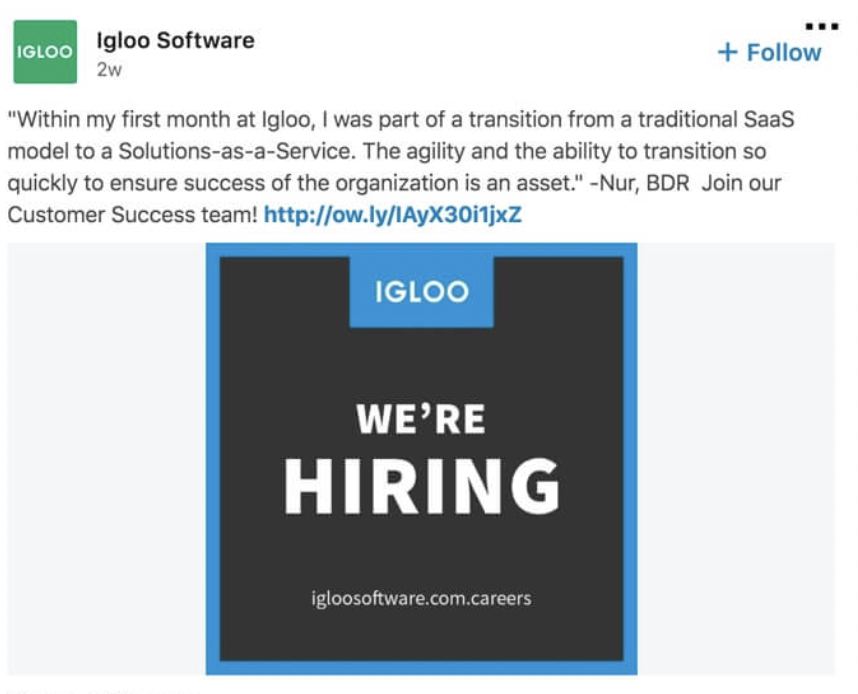 Igloo Software Recruitment Ad