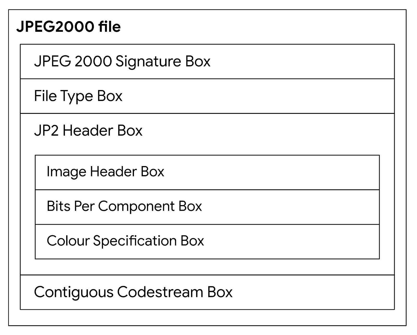 Organization of the image