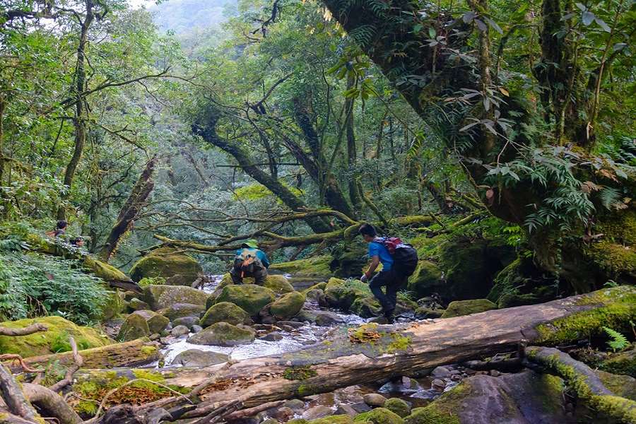 Complicated treks with many obstacles 