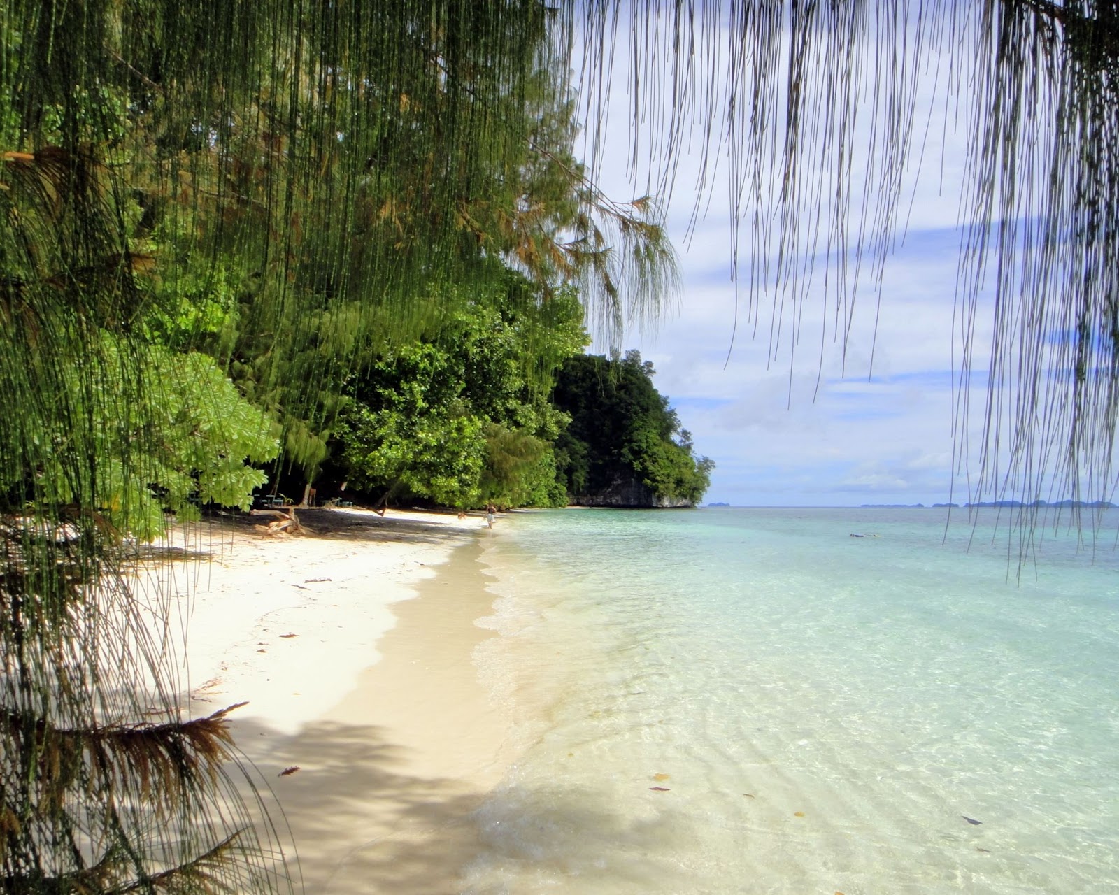 Beach with surrounding greenery.