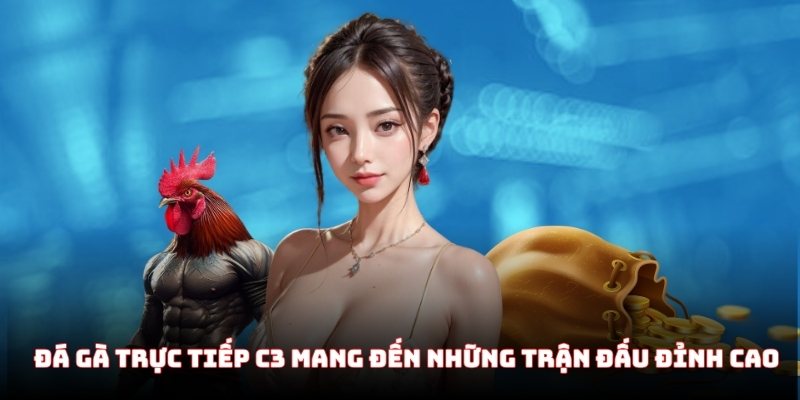 Đá gà trực tiếp C3 mang đến những trận đấu máu lửa hàng đầu