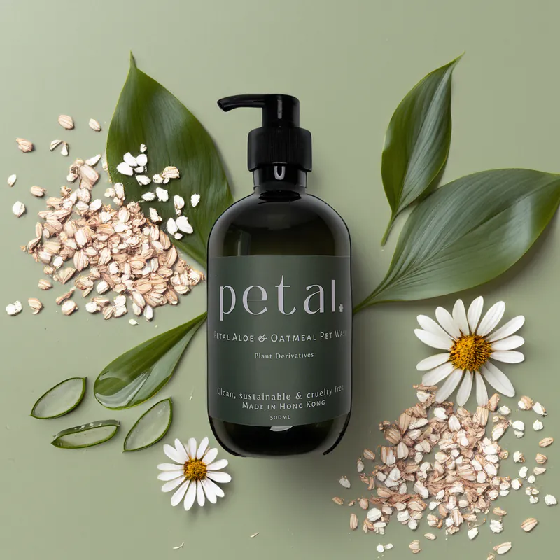使用熟悉的寵物護理產品，如 Petal Aloe & Oatmeal Hydroboost Pet Wash，以減少寵物在旅行期間的焦慮。
