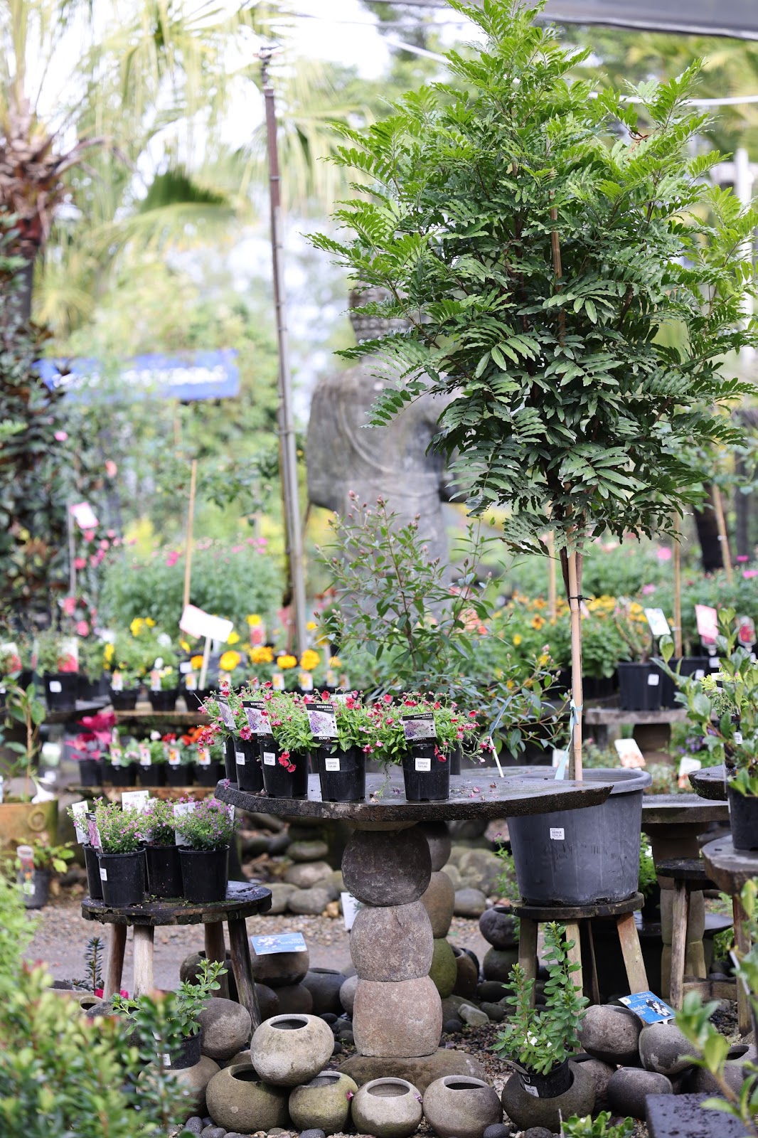 Oxley Nursery