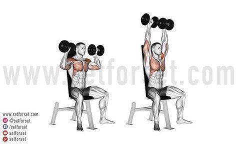 dumbbell shoulder press