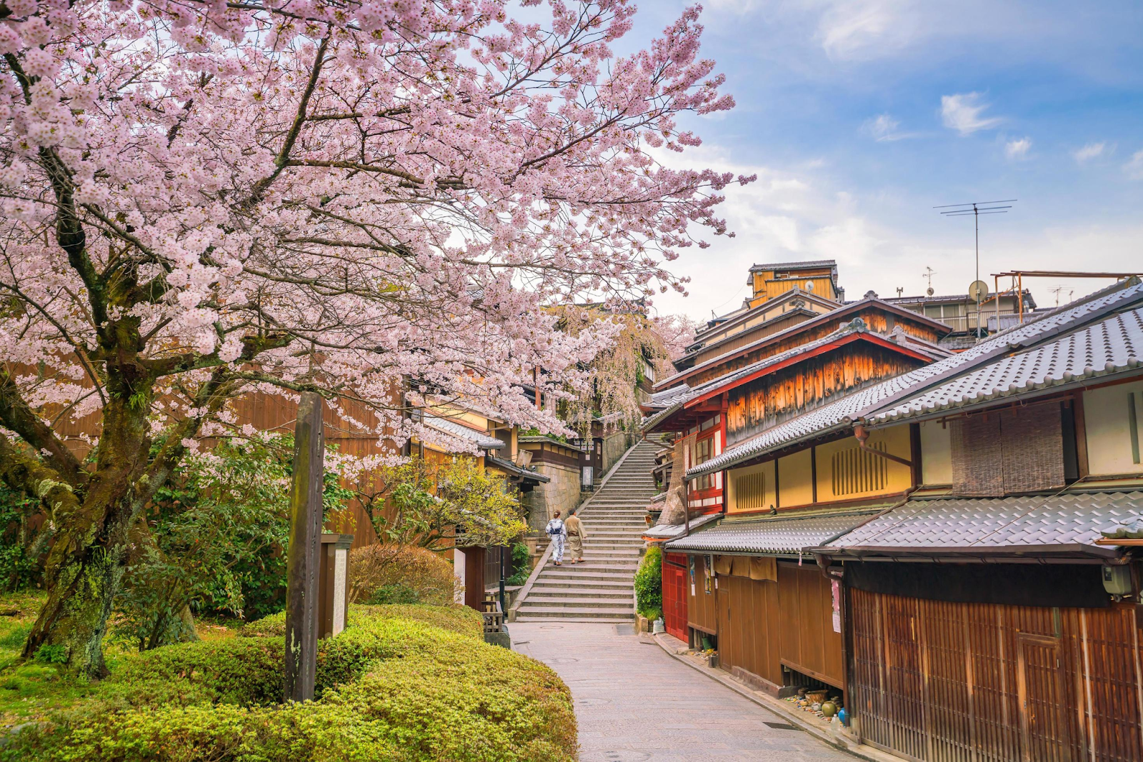 Kyoto’s ancient Higashiyama area during sakura bloom