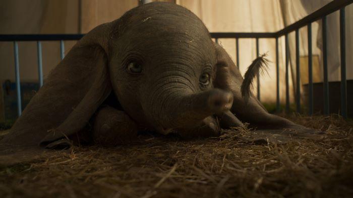 3.DUMBO 2