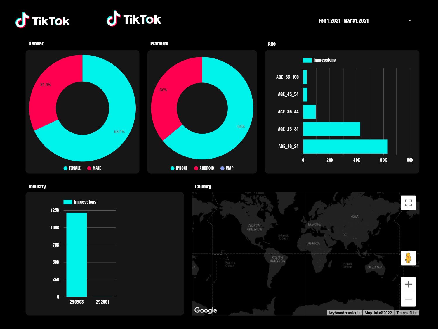 Tiktok ads and analytics