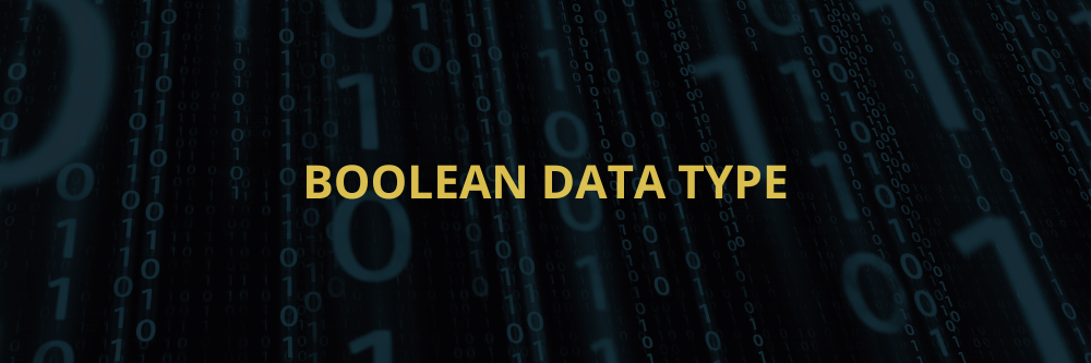 BOOLEAN data type.