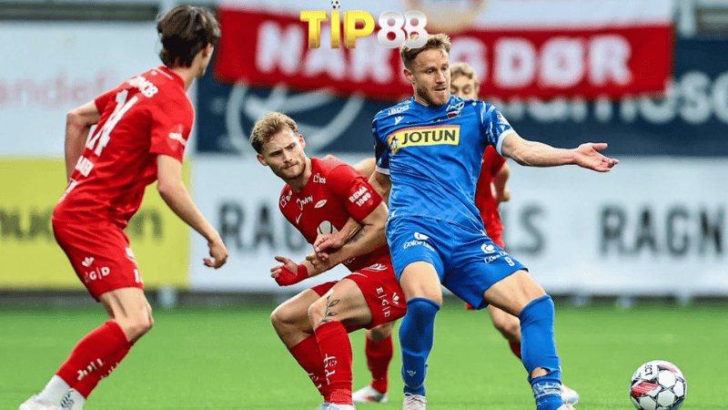 Lịch sử đối đầu SK Brann vs Sandefjord Fb   