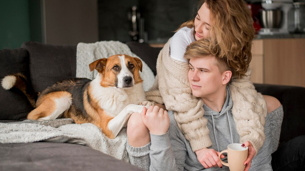 Finding the Best Care for Your Pet When You’re Away