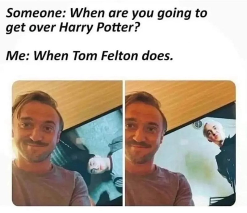 Someone: When are you going to get over Harry Potter? Me: When Tom Felton does.