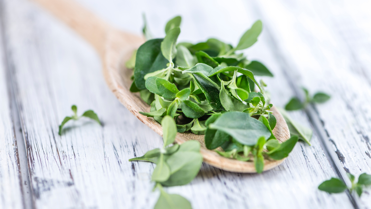 Are Wintergreen And Menthol Interchangeable?