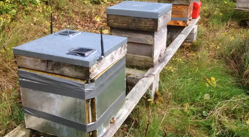 C:\Users\hp\Downloads\monitoring-beehives-waspmote.jpg