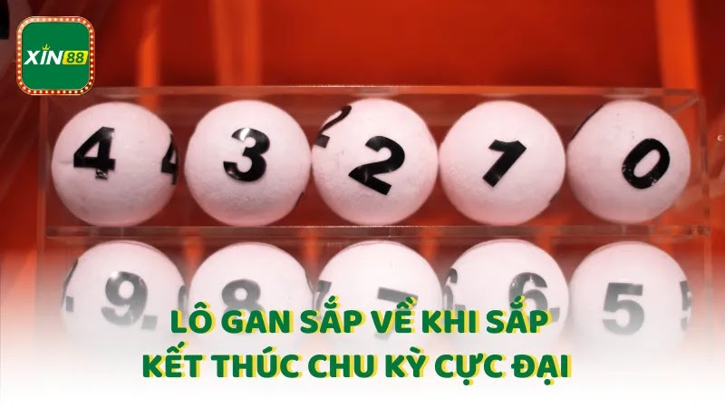 Dấu hiệu lô gan sắp ra