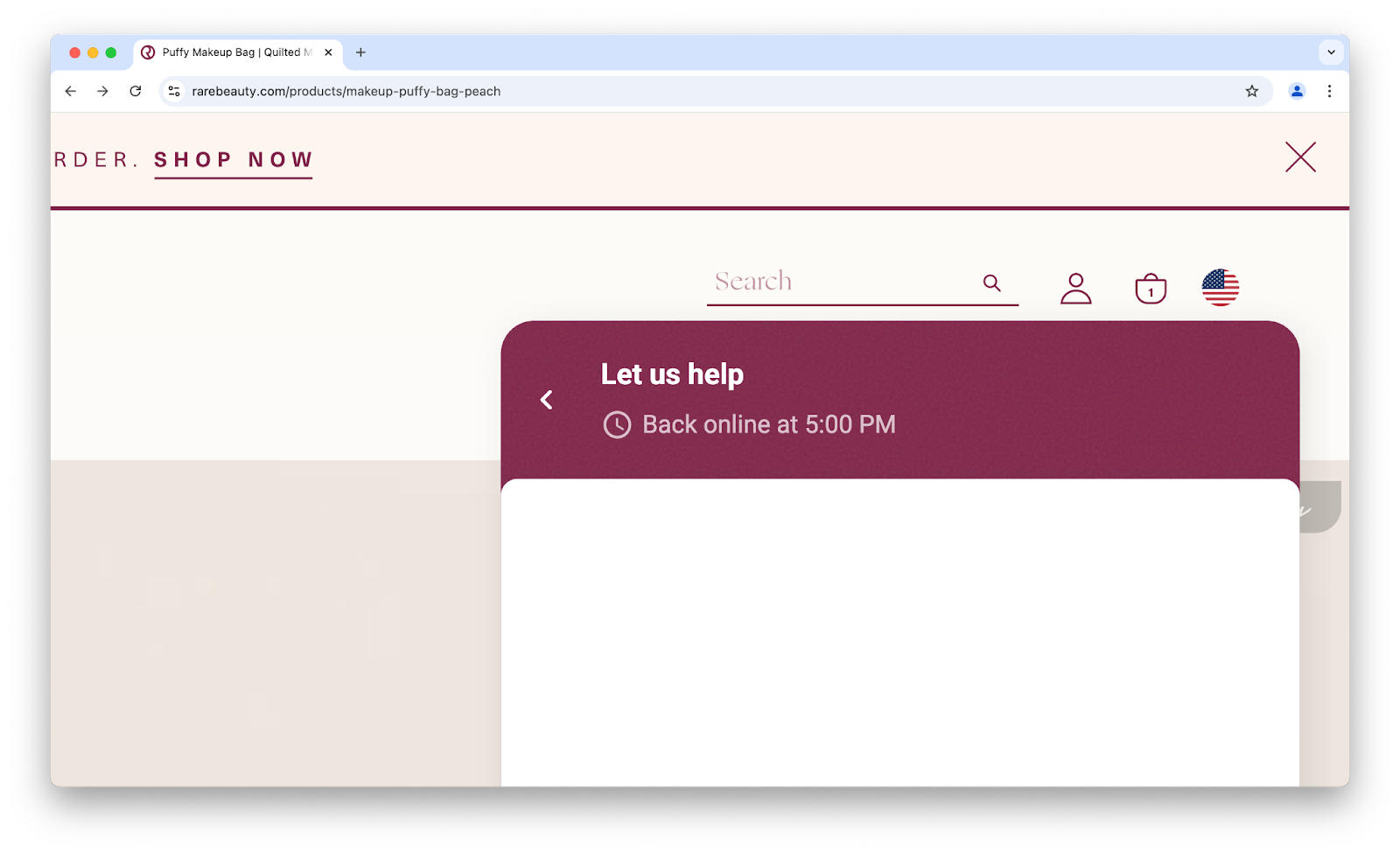 Image of Rare Beauty's customer support tool with its support hours shown.