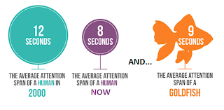 attention span marketing