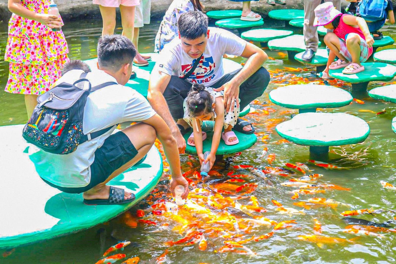 A group of people feeding fish in a pondDescription automatically generated