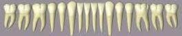 dents 1.jpg