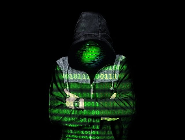 A Person With Codes Projected on Him;  Image from Pixabay