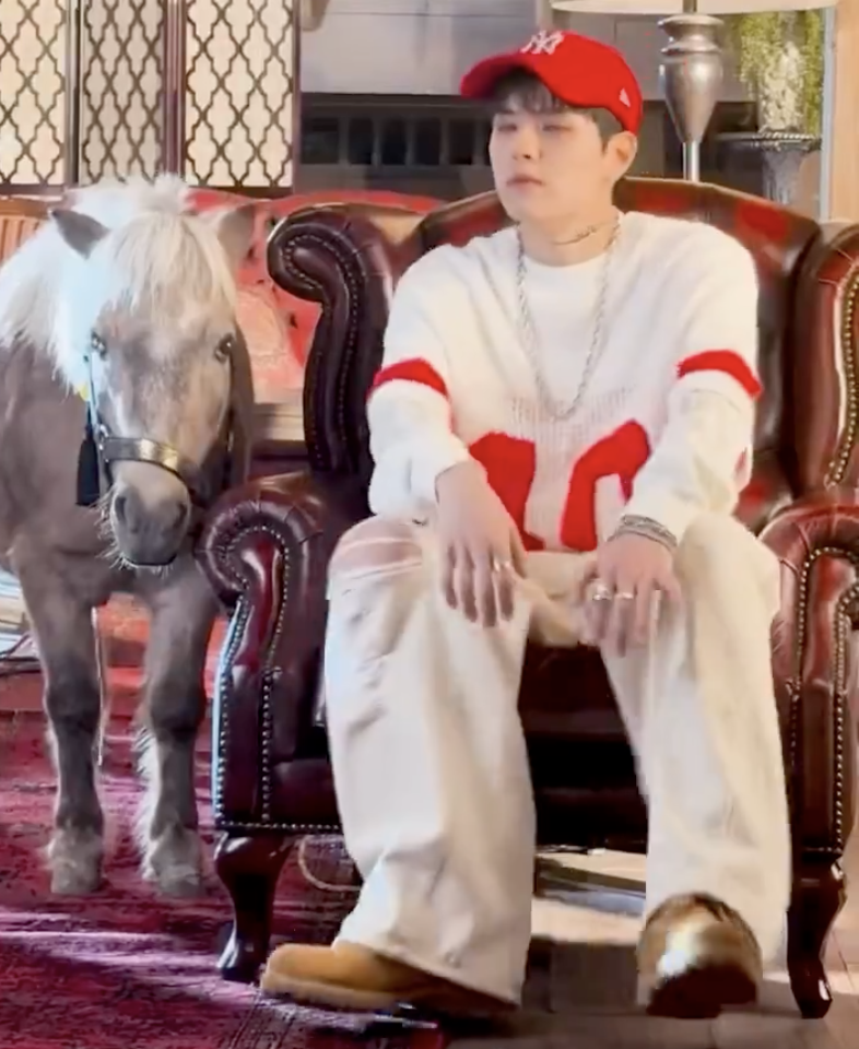 A picture of one of  Stray Kids members  Seungmin pony