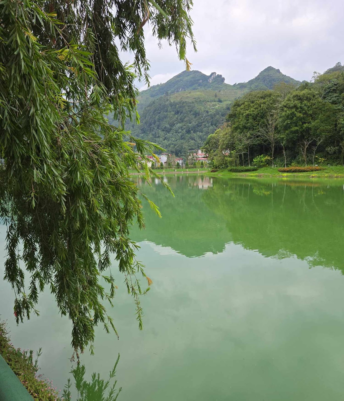 Lake in Sapa making it similar with Switzerland