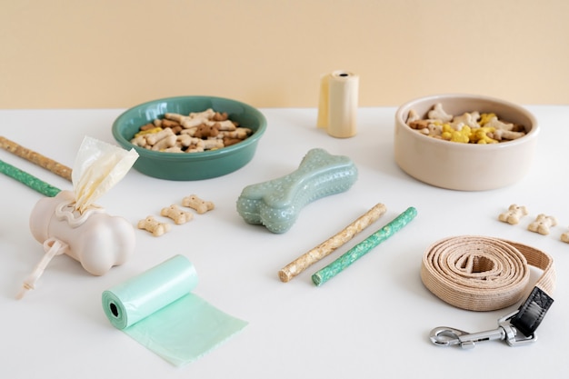 Fun DIY Toys Your Pets Will Love
